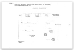 1977 page 49